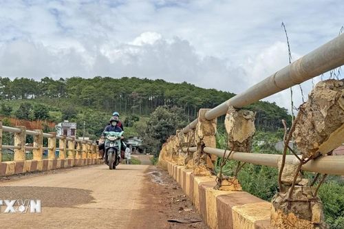 Hơn 100 cầu yếu cần sửa chữa thay thế ở Lâm Đồng