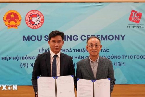 Phát triển phong trào bóng đá của người Việt tại Hàn Quốc