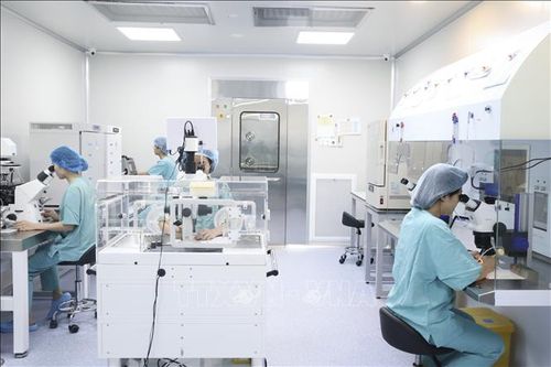 Gieo mầm yêu thương cho những cặp vợ chồng hiếm muộn
