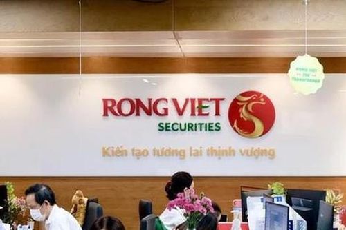 Vượt kế hoạch năm sau 9 tháng, Chứng khoán Rồng Việt đang đầu tư vào những mã nào?