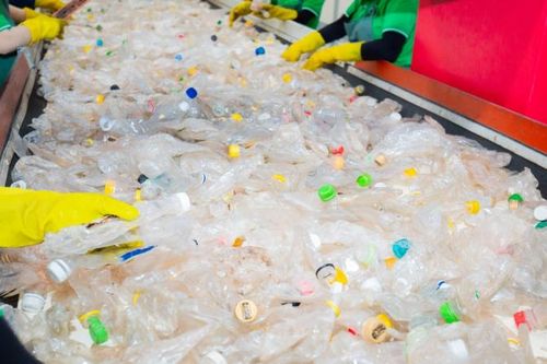 Người tiên phong gieo mầm xanh hy vọng từ tái chế