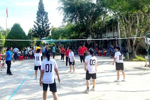 Phong trào thể thao của Trường THPT Vĩnh Trạch