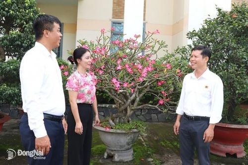 Tích cực tuyên truyền pháp luật cho nông dân