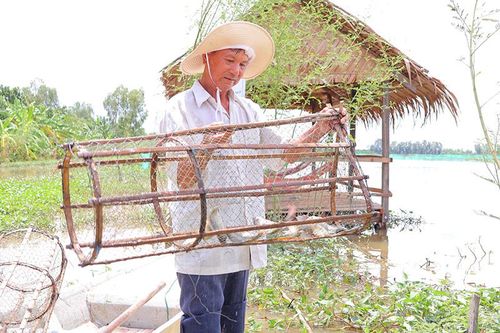 Tam Nông chung tay gìn giữ 'kho báu' thủy sản