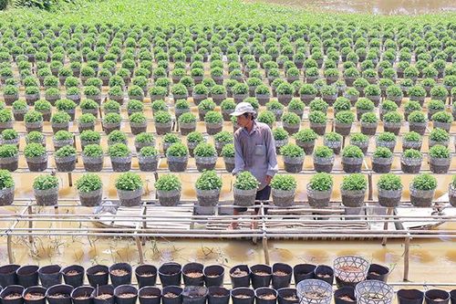 Hỗ trợ nông dân, phát triển nông nghiệp, kinh tế nông thôn bền vững