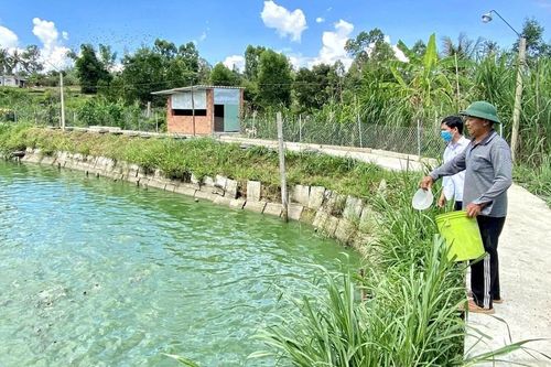 Gia Lai ban hành hạn mức giao đất ở cho cá nhân trên địa bàn tỉnh