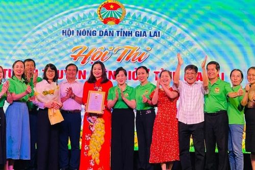 Thí sinh Phạm Thị Phượng đạt giải nhất Hội thi tuyên truyền viên giỏi