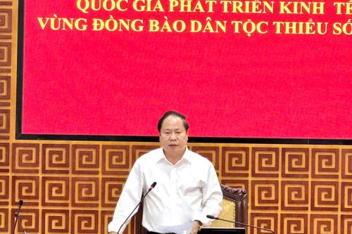 Họp trực tuyến về tình hình thực hiện chương trình mục tiêu quốc gia phát triển kinh tế - xã hội vùng đồng bào dân tộc thiểu số và miền núi