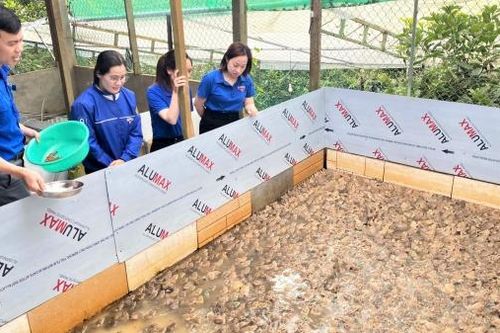 Điểm tựa cho thanh niên khởi nghiệp