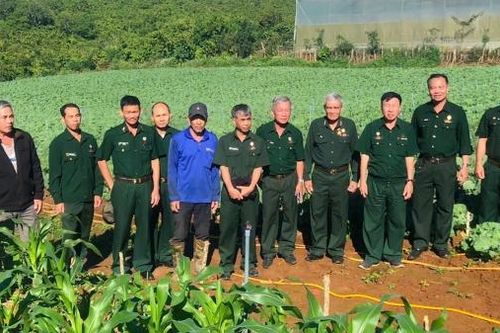 Hướng tới kỷ niệm 30 năm Ngày thành lập huyện Bảo Lâm: Hội CCB Bảo Lâm: Nhân rộng mô hình, điển hình tiên tiến