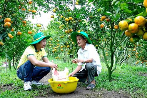 Đạm Cà Mau (DCM): Tiêu thụ ure và NPK trong tháng 9 tăng vọt