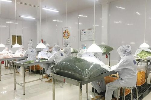 Lâm Đồng: Đẩy mạnh hoạt động khuyến công hỗ trợ phát triển công nghiệp