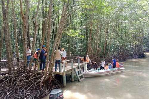 Bài cuối: Xây dựng thương hiệu du lịch Cà Mau