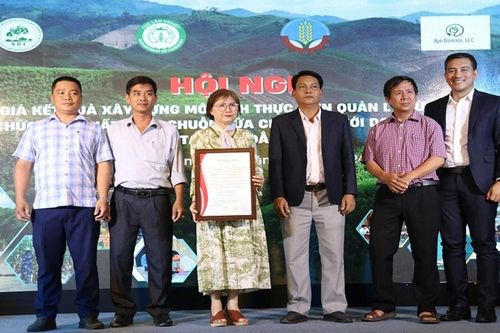Đắk Lắk: Có 4.000ha rừng được cấp Chứng nhận quản lý rừng bền vững
