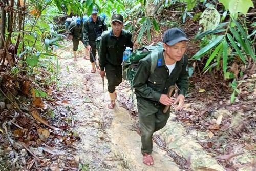 Tăng cường công tác quản lý, bảo vệ rừng tại huyện miền núi Nam Giang