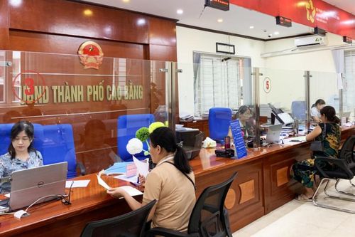 Tiếp nhận, xử lý 3.389 hồ sơ đất đai