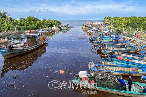 Vất vả nghề bám biển