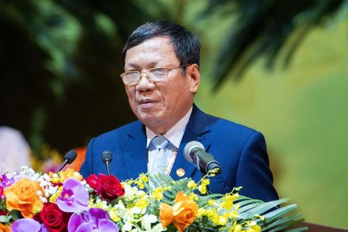Kiến nghị cho người Việt Nam ở nước ngoài được bầu cử, ứng cử đại biểu Quốc hội
