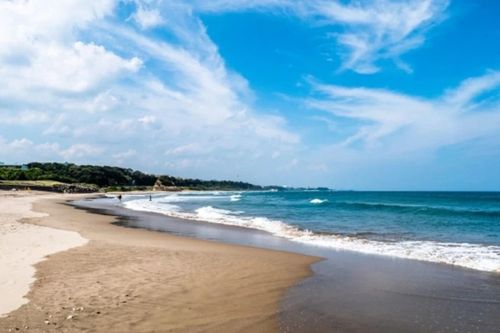 Nỗ lực tìm kiếm công dân bị sóng biển cuốn trôi tại Nhật Bản
