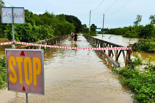 Bình Thuận: Mưa lớn kéo dài, hàng trăm hecta hoa màu chìm trong biển nước