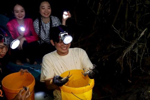 Săn ba khía đêm ở đất Mũi