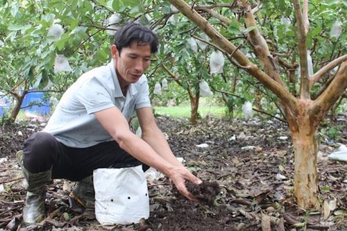 Huy động nguồn lực tốt nhất để gìn giữ, cải tạo đất tốt hơn
