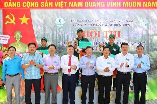 Sôi nổi Hội thi 'Bàn tay vàng' thu hoạch mủ cao-su tại Điện Biên