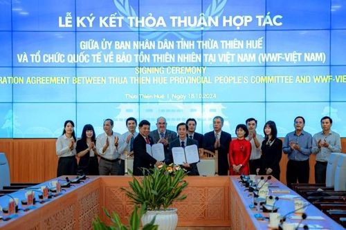 Thừa Thiên Huế ký kết hợp tác với Tổ chức quốc tế về Bảo tồn Thiên nhiên tại Việt Nam