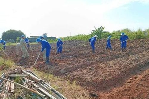 Chuyện tăng gia của Đội Công binh số 3 ở Highway, khu vực Abyei, Nam Sudan