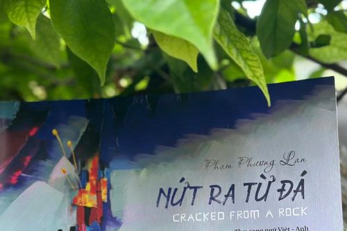 'Nứt ra từ đá': Tiếng thơ của một nữ nhi không 'thường tình'