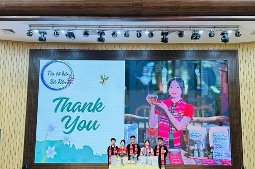 Chung kết Cuộc thi Ý tưởng, dự án thanh niên khởi nghiệp lần thứ V tại Yên Bái