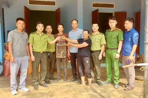Phát hiện cá thể động vật hoang dã thuộc loài đe dọa tuyệt chủng tại Yên Bái