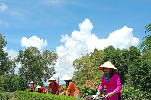Xã nơi cực Nam Tổ quốc đạt chuẩn nông thôn mới