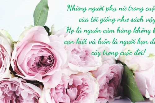 Những status ngày 20/10 hay, hài hước và ý nghĩa