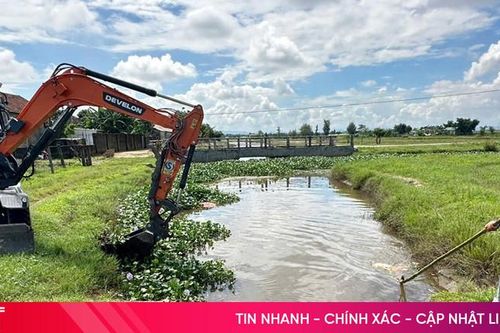 Phát hiện 4 con lợn chết trôi trên mương nước ở Lộc Hà