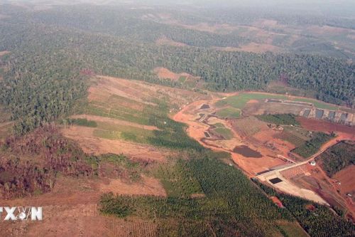 Trồng rừng trên đất lâm nghiệp chồng lấn quy hoạch khoáng sản bauxite