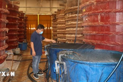 Các đặc tính giúp 10 bộ nước mắm Phú Quốc trở thành sản phẩm tiêu biểu phía Nam