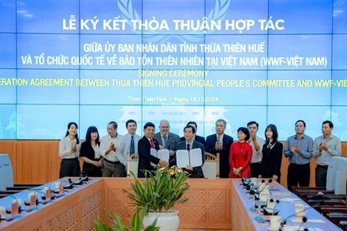 Thừa Thiên-Huế và WWF hợp tác bảo tồn đa dạng sinh học, phát triển bền vững