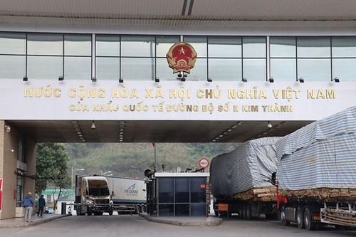 Trung Quốc chi hơn 800 triệu USD nhập khẩu một loại nông sản chủ lực của nước ta