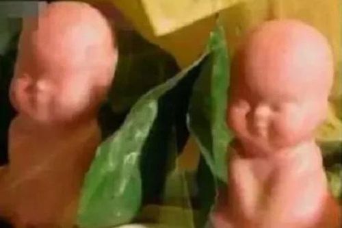 Tây Du Ký 1986: Bí ẩn rùng rợn về cây nhân sâm ở Ngũ Trang Quán khiến Tôn Ngộ Không nổi giận quật đổ