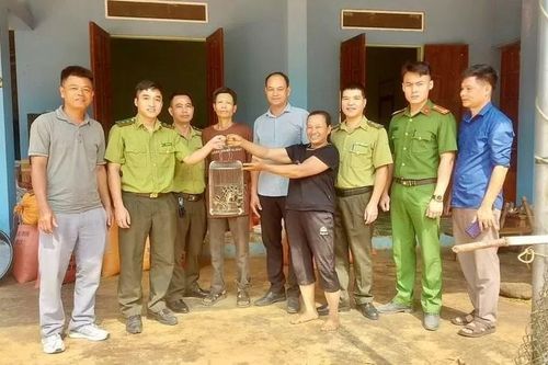 Yên Bái: Phát hiện cá thể động vật hoang dã thuộc loài đe dọa tuyệt chủng