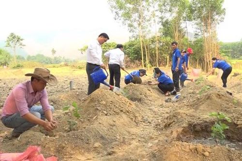 Nâng cao sức khỏe đất để ngành trồng trọt phát triển bền vững