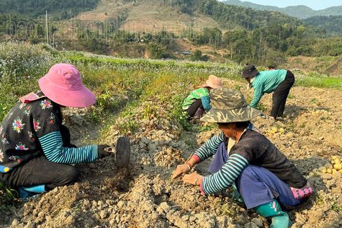 Không để lãng phí nguồn lực các Chương trình mục tiêu Quốc gia (bài 2)