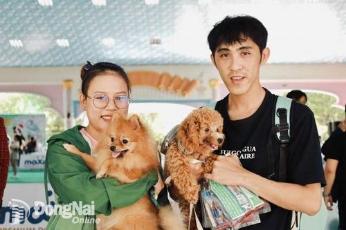 Sắp diễn ra ngày hội thú cưng dành cho giới trẻ 'sát vách' Biên Hòa