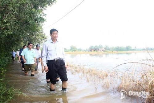 Khẩn trương khắc phục các điểm ngập tại 2 huyện Nhơn Trạch và Long Thành