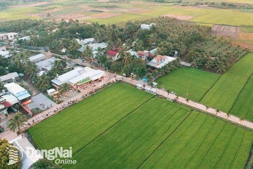 Đồng Nai chính thức cho xây dựng công trình trên đất nông nghiệp với diện tích tối đa 100 mét vuông