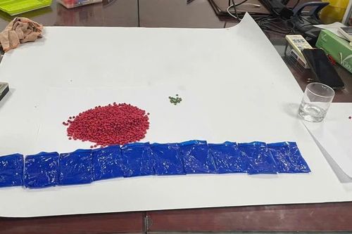 Liên tiếp bắt giữ nhiều đối tượng mua bán ma túy tại Bảo Thắng