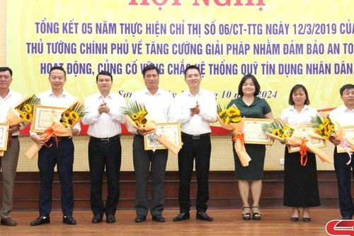 Đảm bảo an toàn, vững chắc hệ thống quỹ tín dụng nhân dân