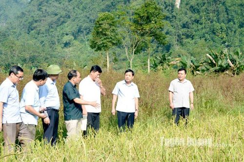 Khẩn trương bố trí, ổn định chỗ ở cho các hộ dân bị mất nhà do thiên tai