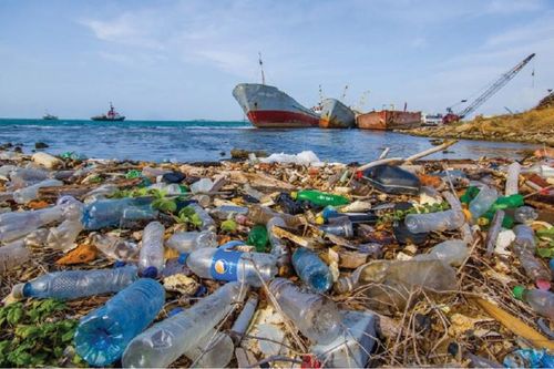 Các tập đoàn đa quốc gia phải ngăn rác thải ra đại dương ở Nam bán cầu